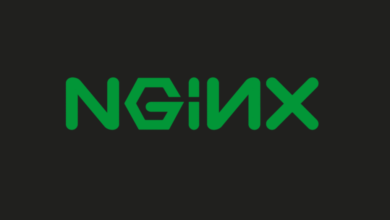 F5 lança atualização emergencial para corrigir cinco vulnerabilidades no NGINX